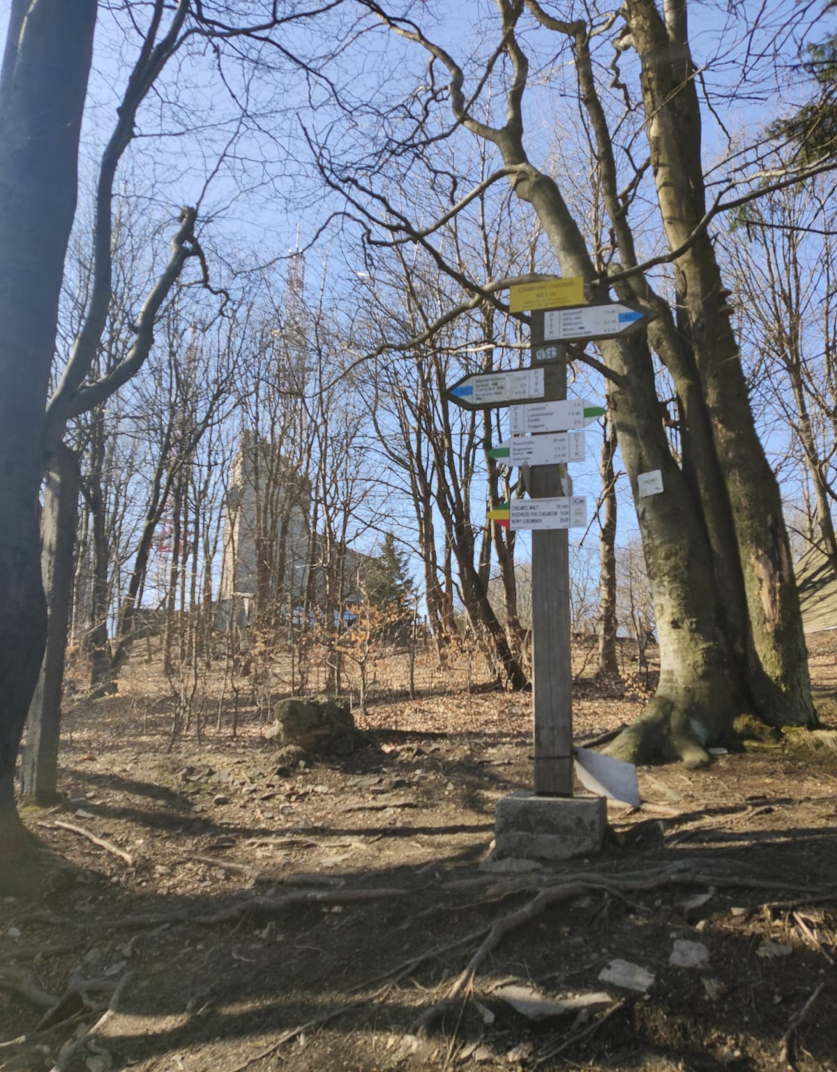 Boguszów-Gorce = Chełmiec z platformą na Paluchu - Boguszów-Gorce