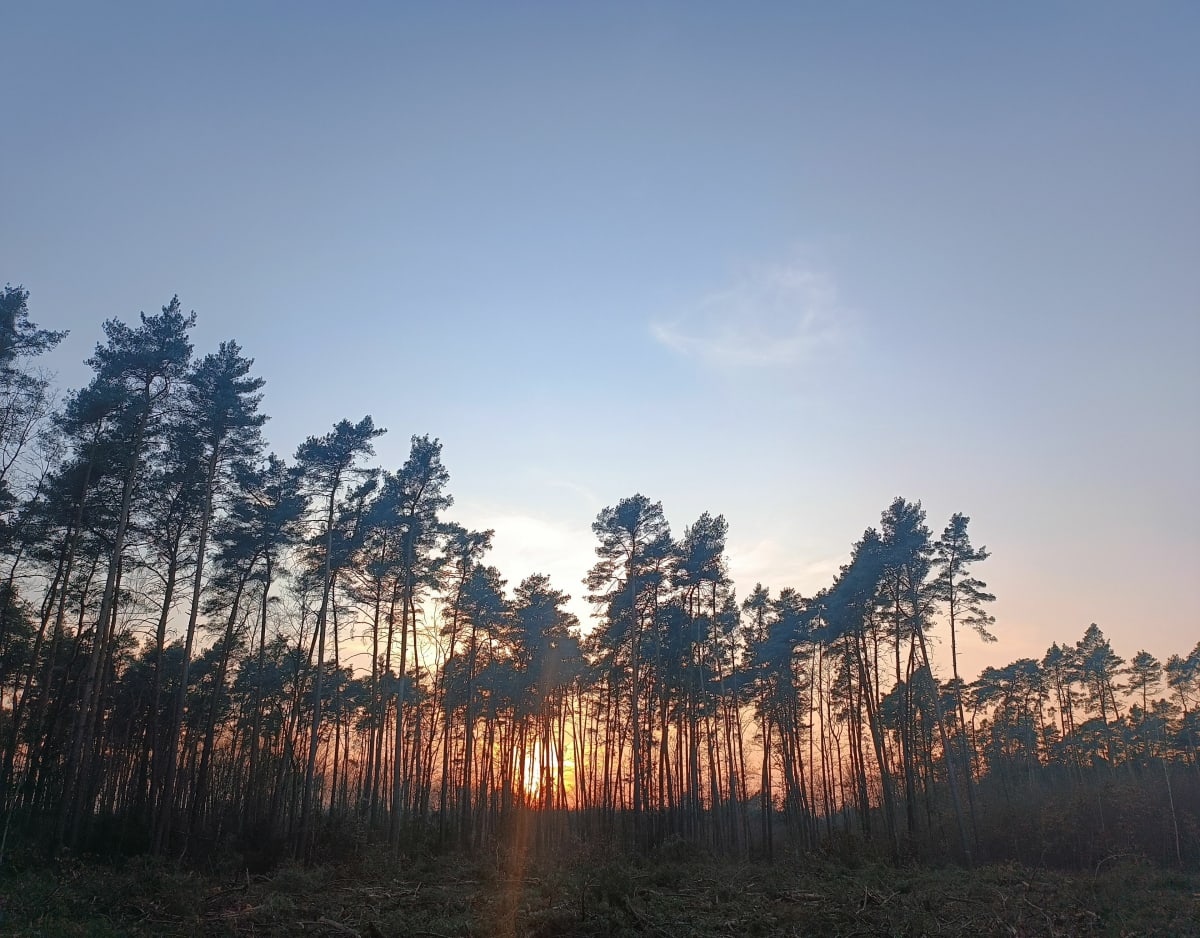 Trasa na stawy - Wołów