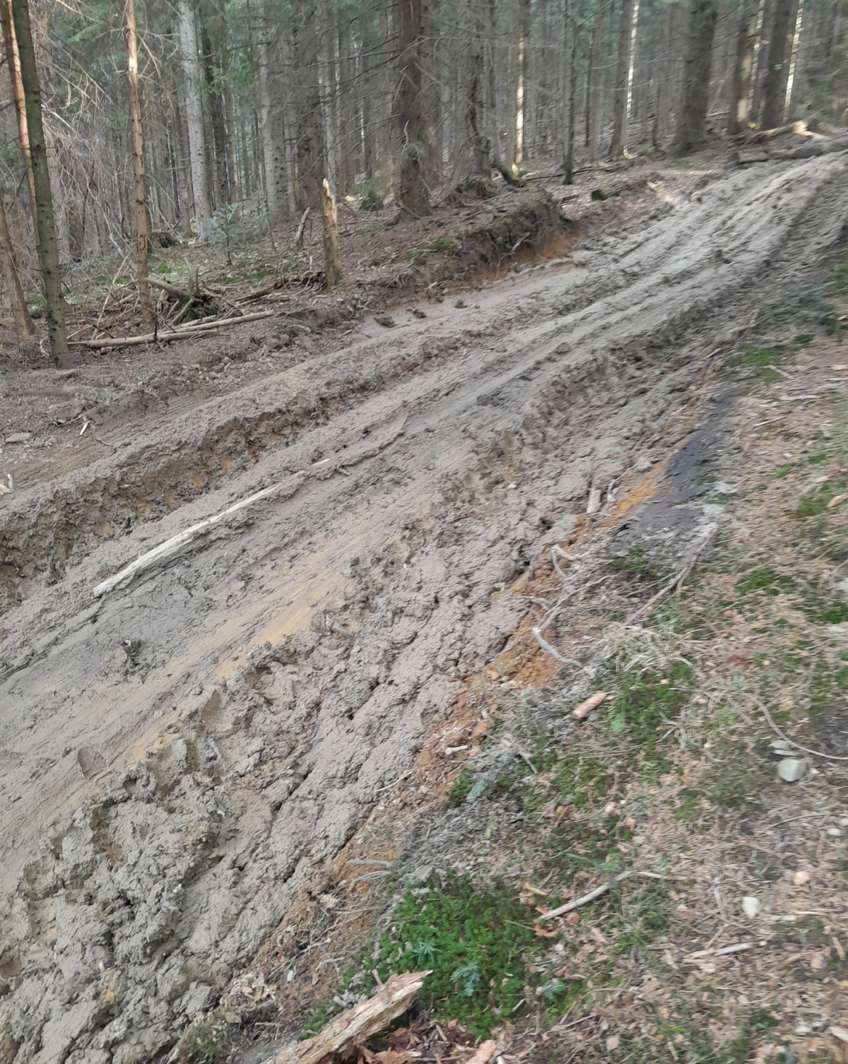 Rysianka - Żabnica