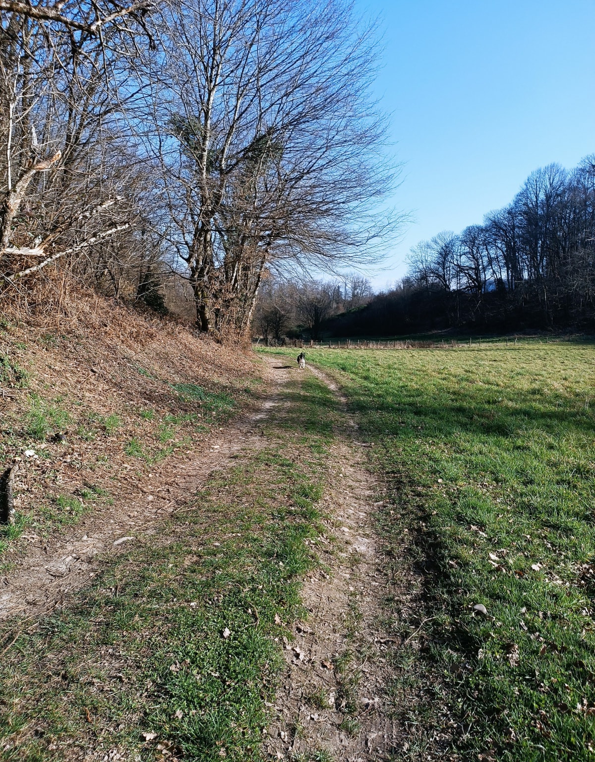 Boucle passant par les Abrets, Pressins, la Chapelle - Les Abrets en Dauphiné