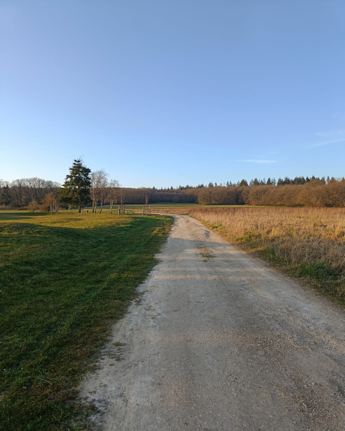 Balade dans la nature à Saint-Aubin-des-Bois - Saint-Aubin-des-Bois