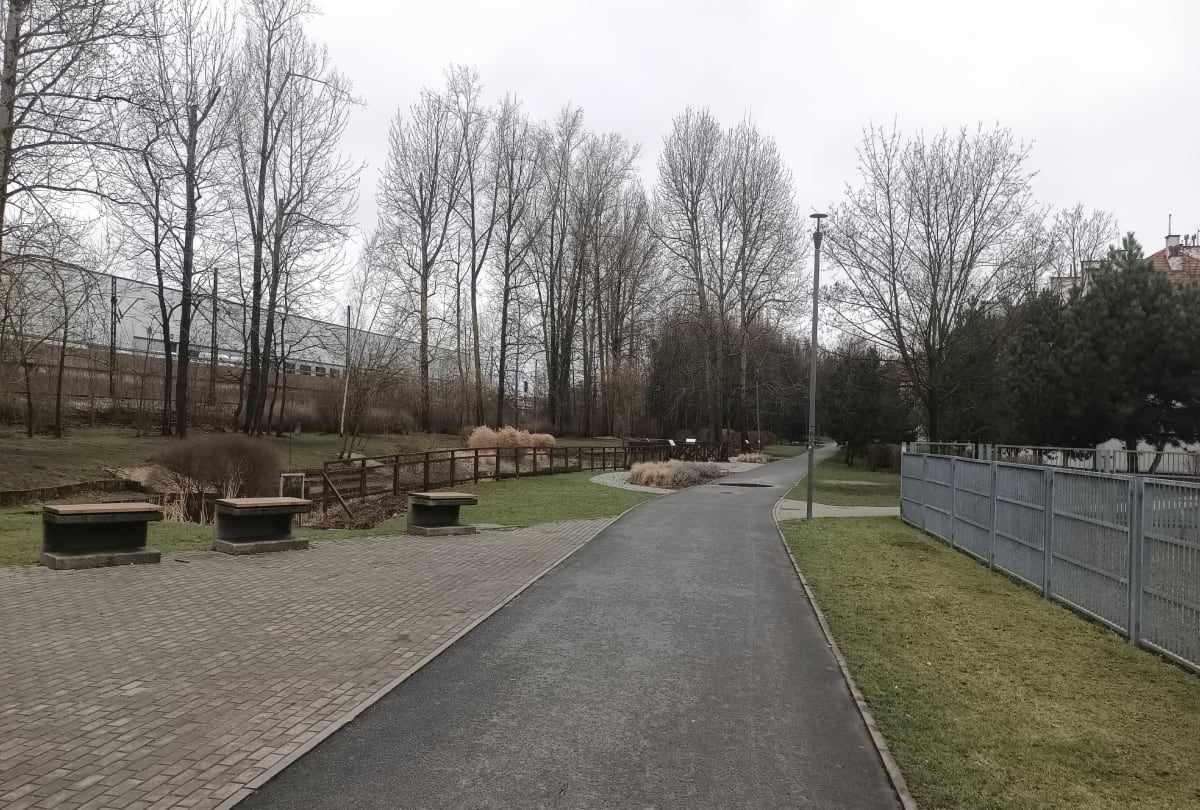 Chorzów Biegowo w stawu Kalina - Chorzów