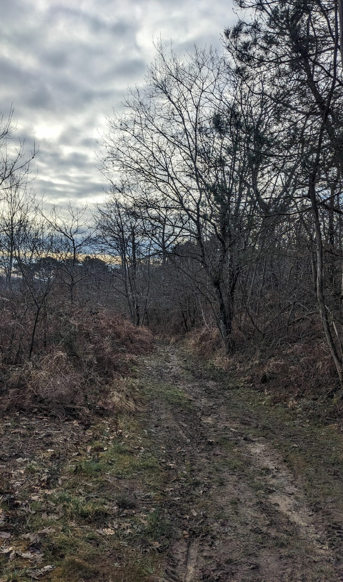 VTT entre St Georges, Lamonzie, Saint-Martin et Saint-Félix - Saint-Georges-de-Montclard