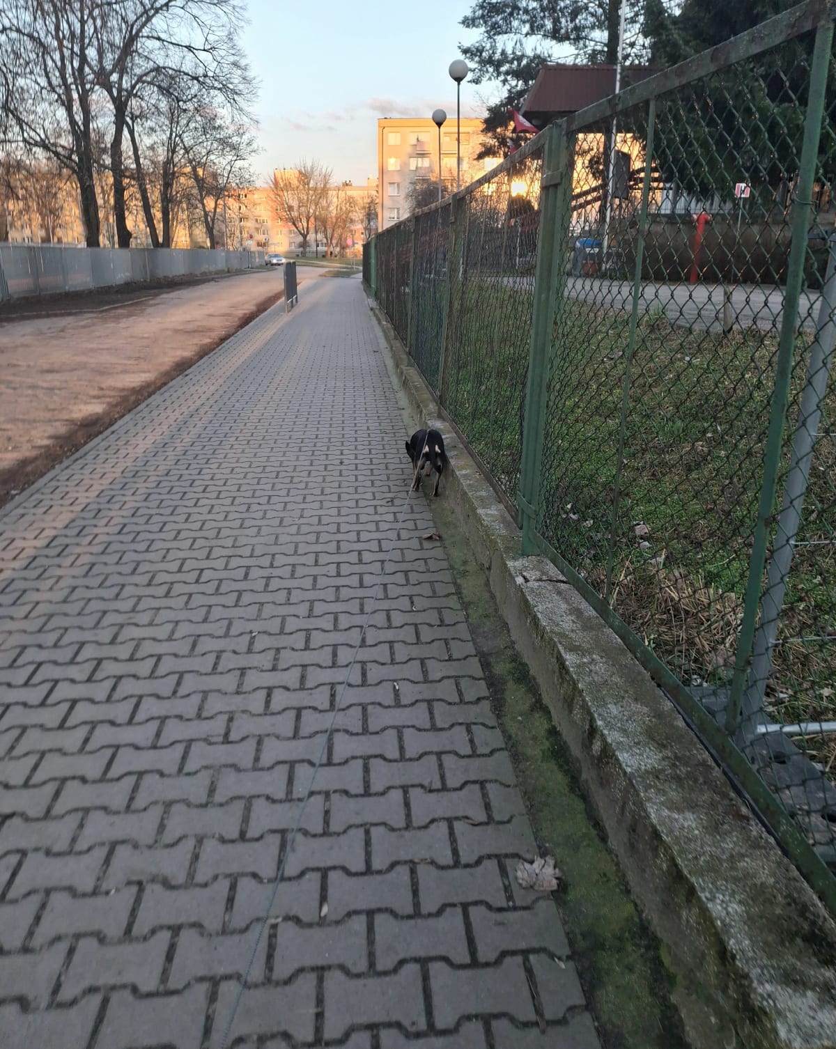 Żwirownia polew Leszczynko - Leszno