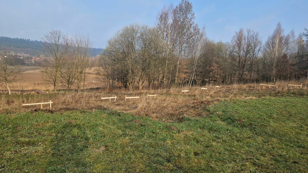 Spacer na Wzgórze Kościuszki - Jelenia Góra