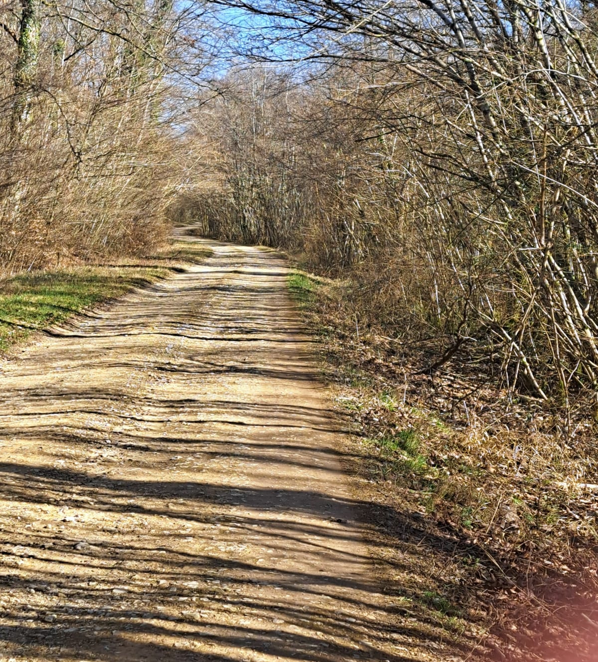 Sortie sur les hauteurs de Frouard - Frouard