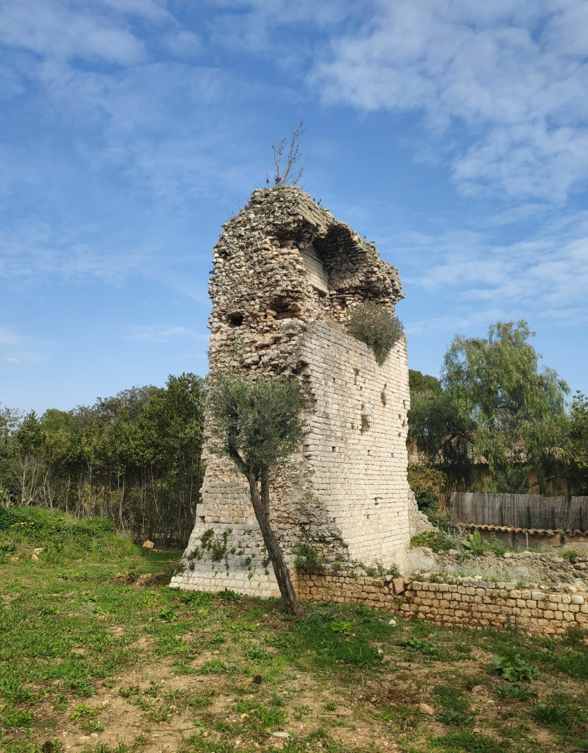La Chêvre d'Or à Biot - MATHIEU