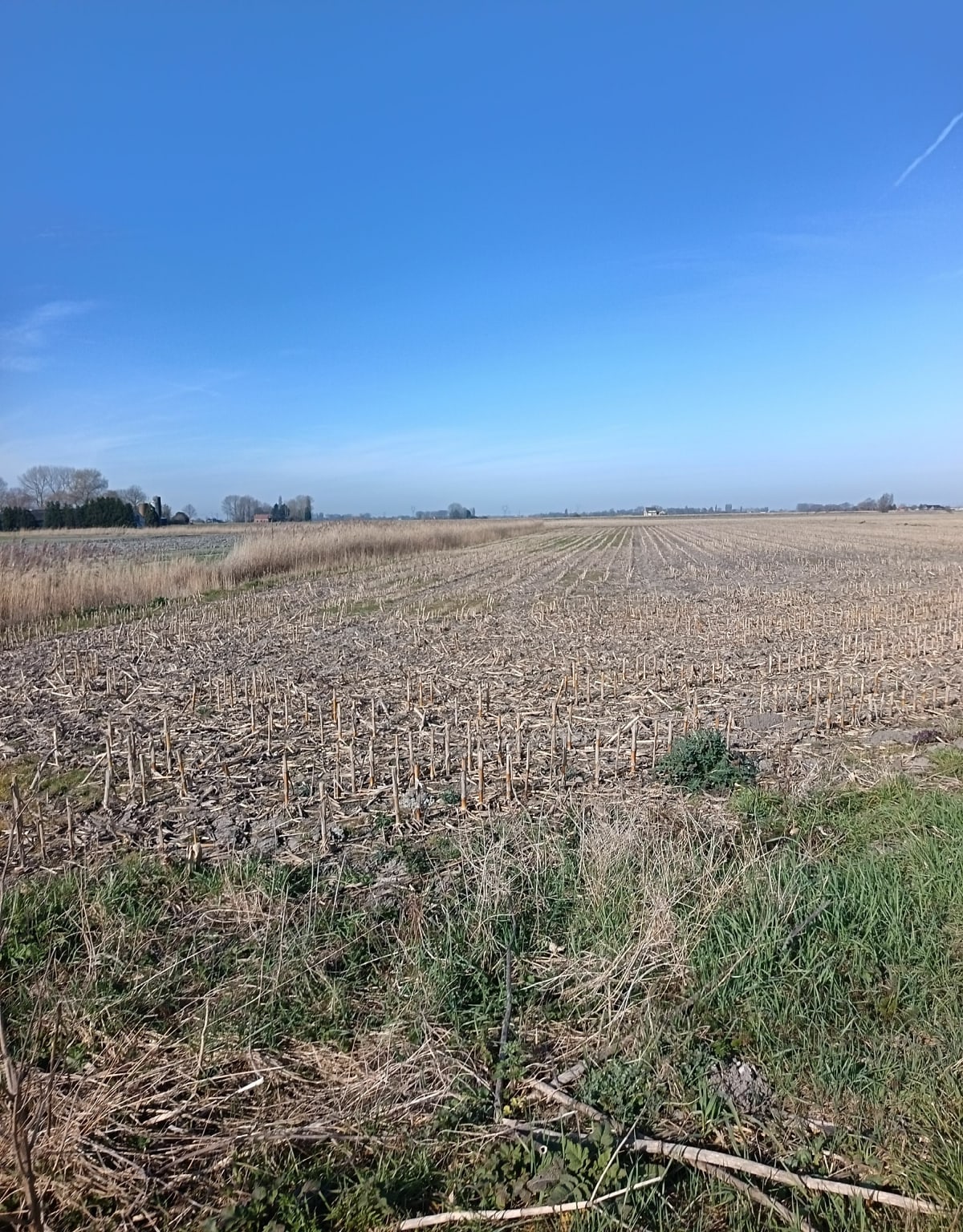 Spee Straete et Cappelle-Brouck - Cappelle-Brouck