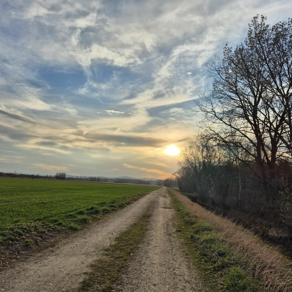 Tour de Mionnay, par l'Etang de Chossogne - Mionnay