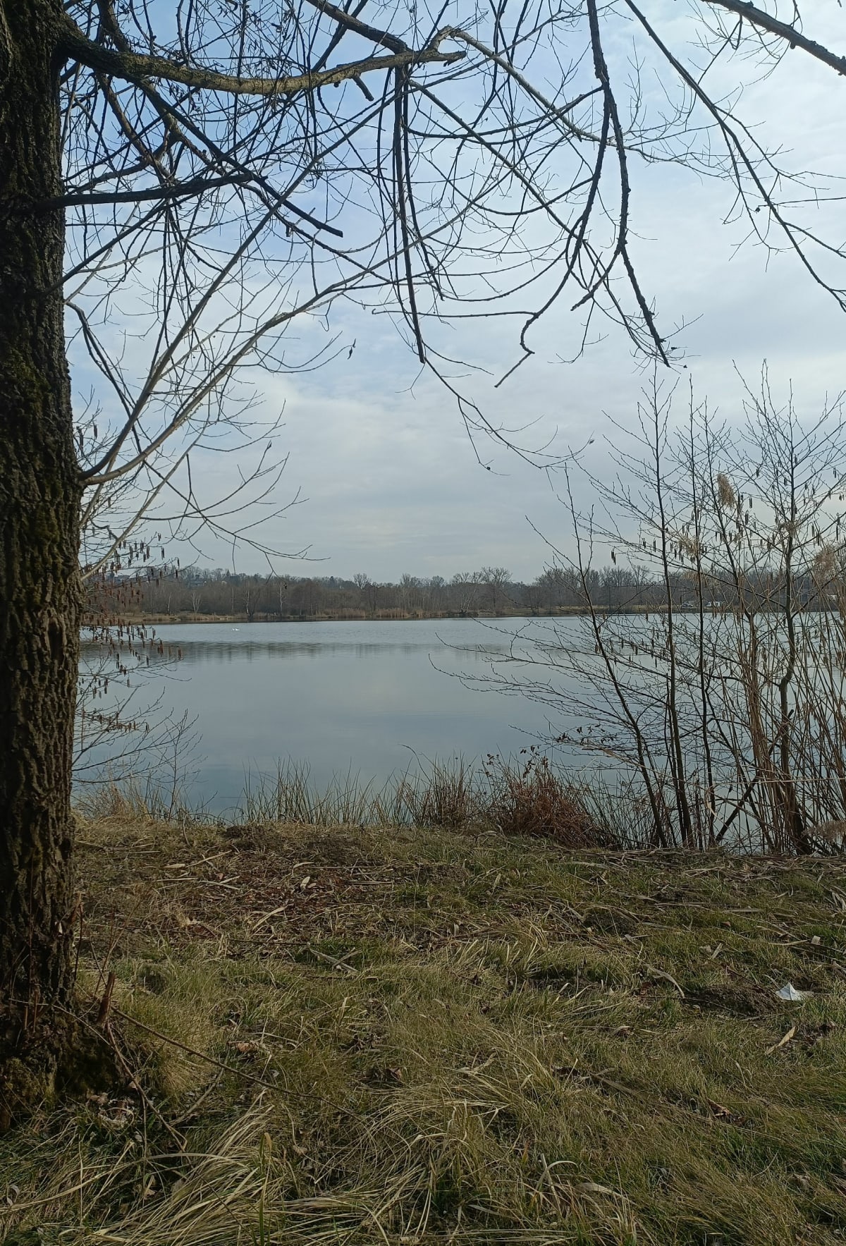 Przeciszów, Rudze, Trzebieńczyce, Podłodze i stawy - Przeciszów