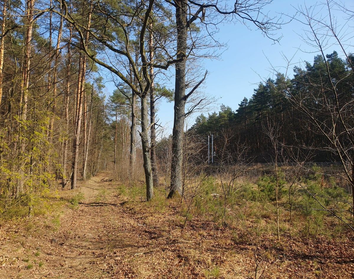 Wokół Grotnik" - Grotniki