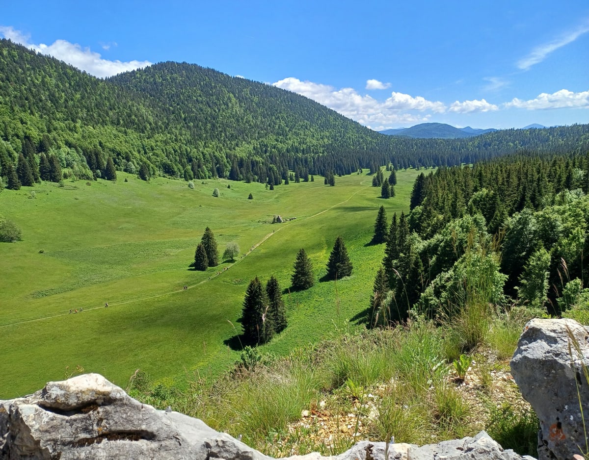 Vercors route d'Herbouilly - Villard-de-Lans