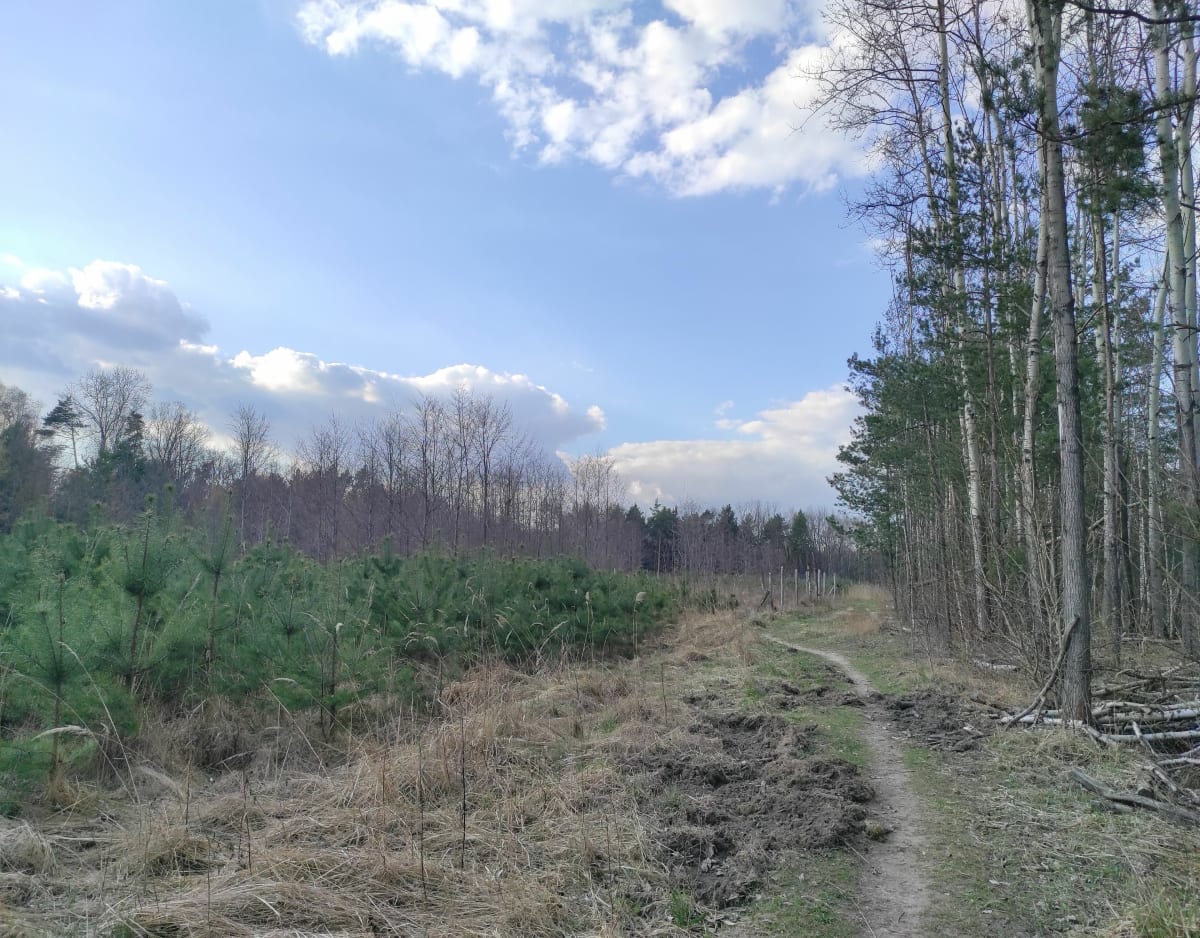 Spacer szlakiem kolejki konnej - Mysłowice