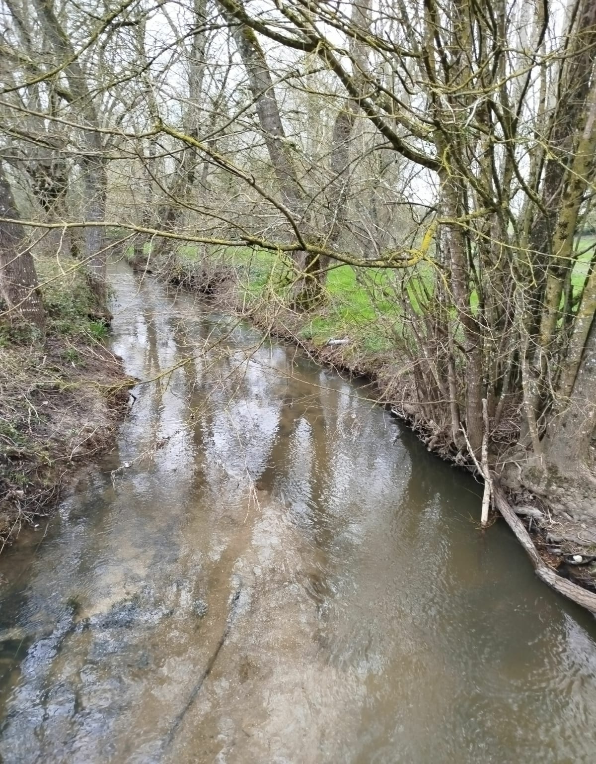 Hauteur de Léoville, par le Moulin Neuf - Léoville