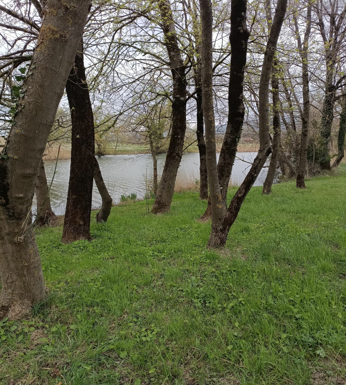 Balade au tour des îles Feray. - Tournon-sur-Rhône