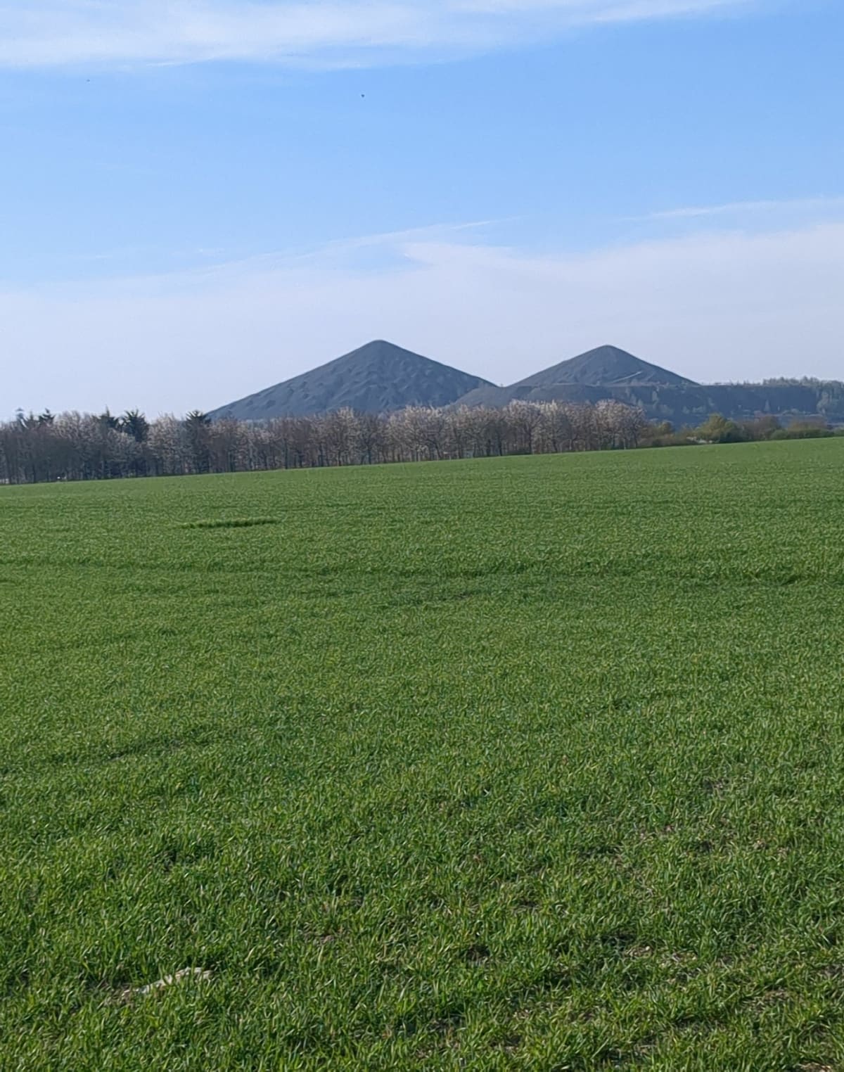 De Vermelles à Loos en Gohelle par les champs - Vermelles
