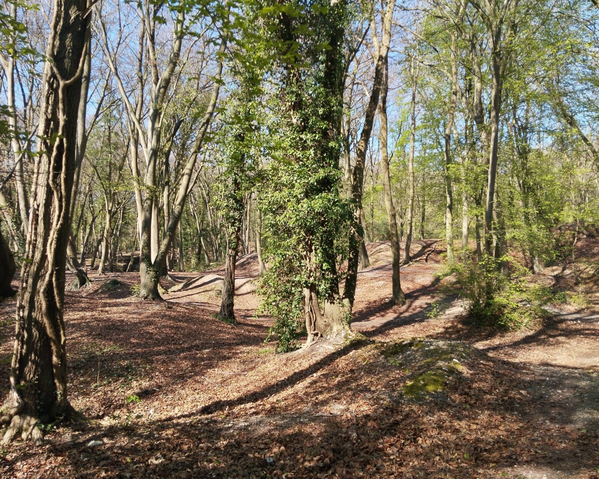 Balade en forêt avec une grotte en chemin - Saint-Étienne-du-Rouvray