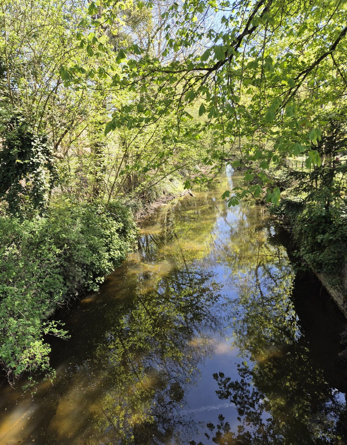 Balade de Crosne à Brunoy - Crosne