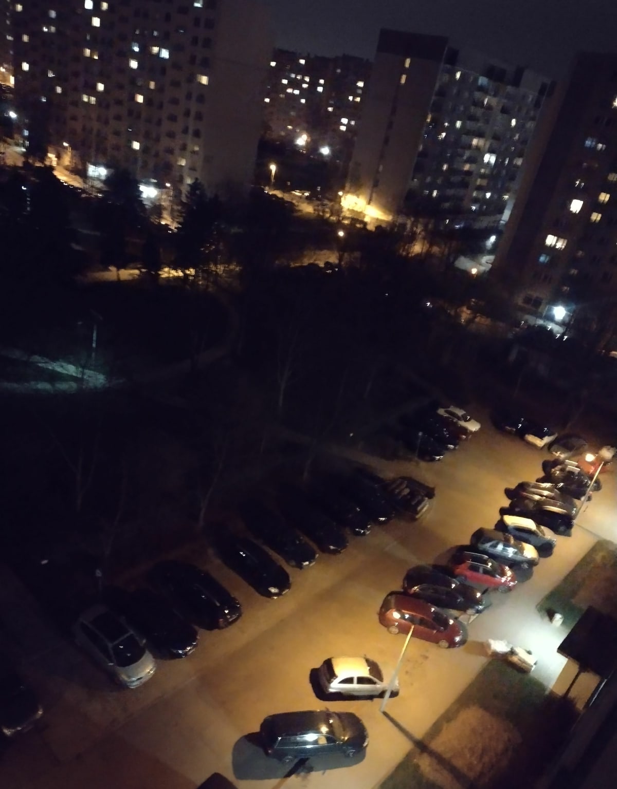 Spacer z psem - Łódź