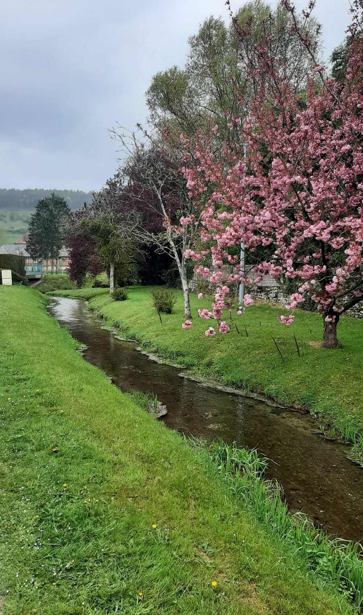 Entre plaine et forêt à Fry - Fry