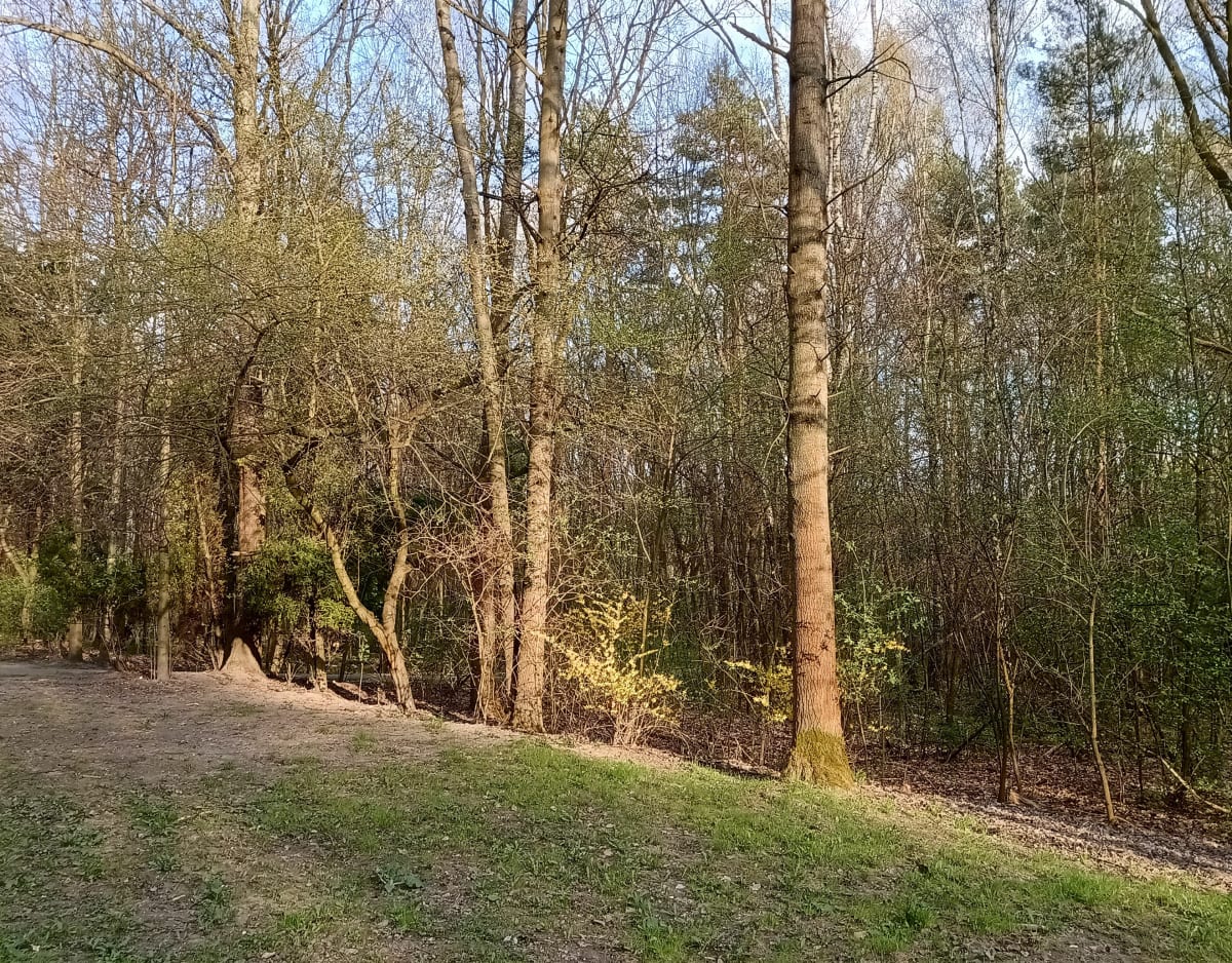 Katowice Trzy Stawy - Katowice