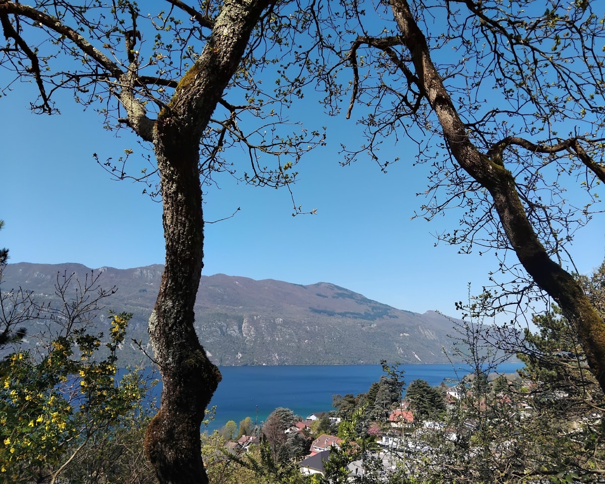 Petite balade Lafin Corsuet point de vue lac - Aix-les-Bains