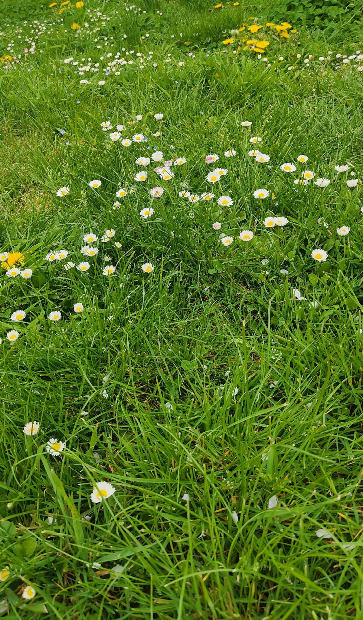 Balade Cissoise, par Veuzain-sur-Loire - Valencisse