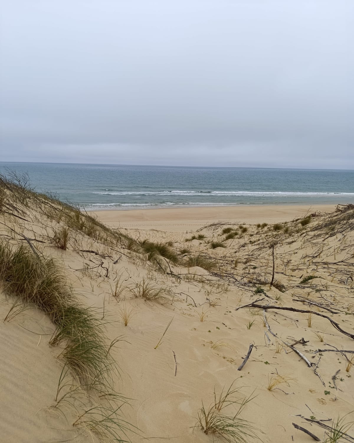 Ocean - Bassin à L'Herbe - Lège-Cap-Ferret