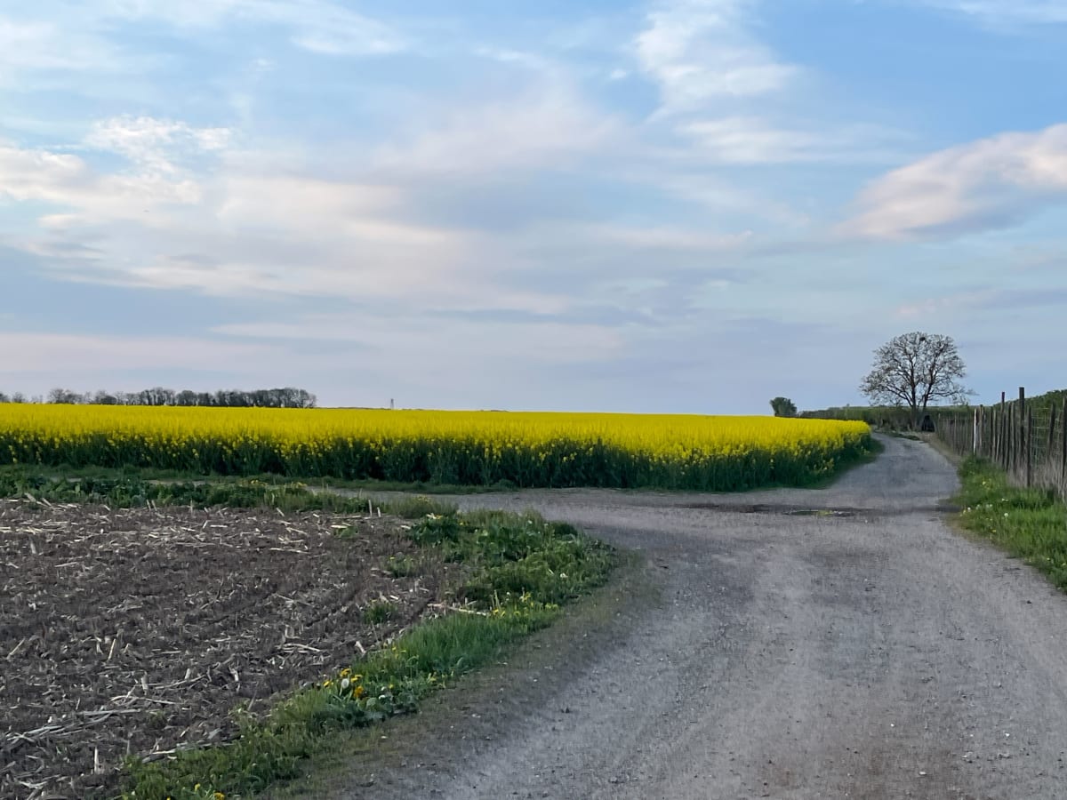 Marche champêtre à Écouen - Écouen