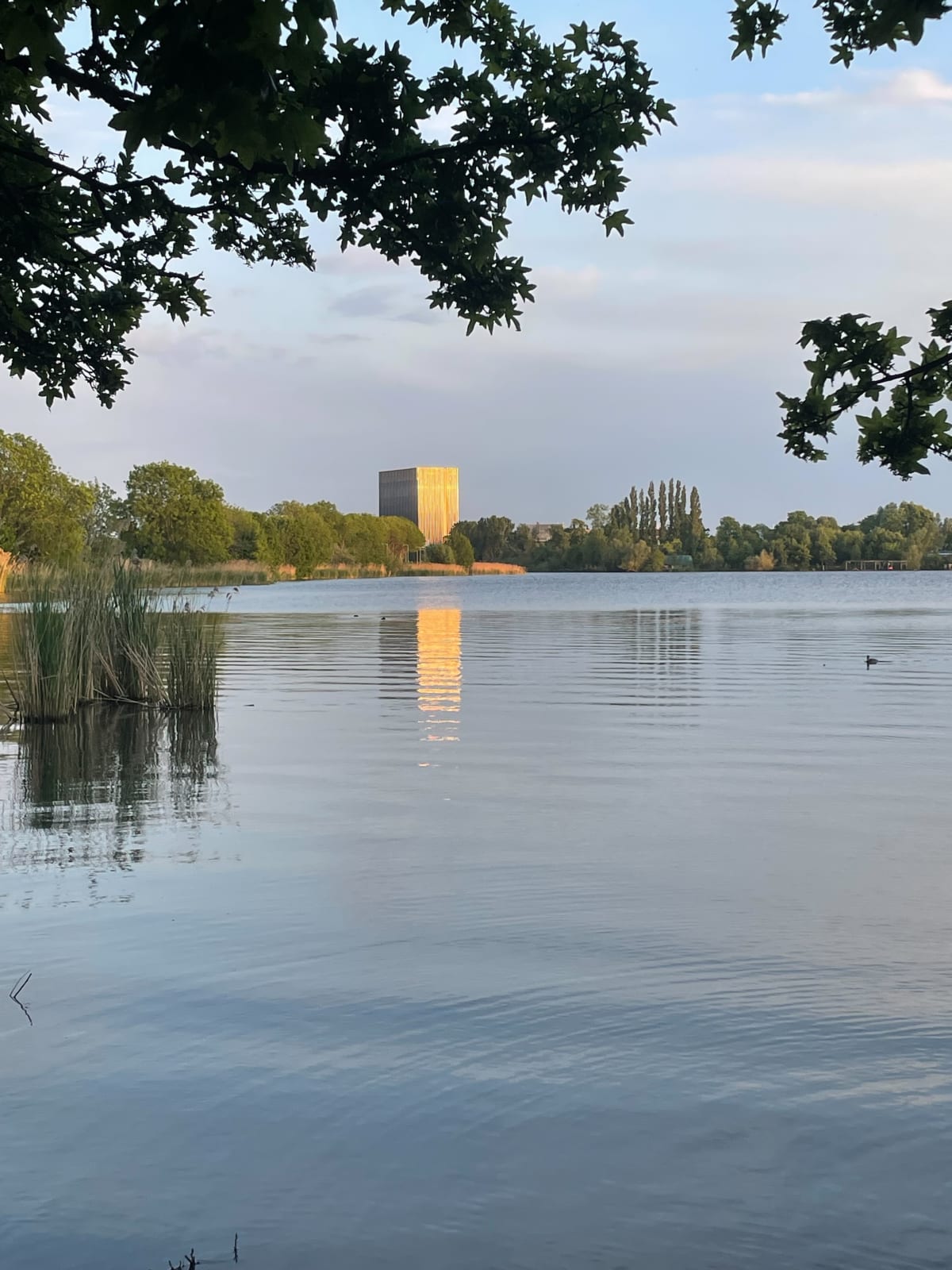 Wandeling in Amsterdam - Amsterdam
