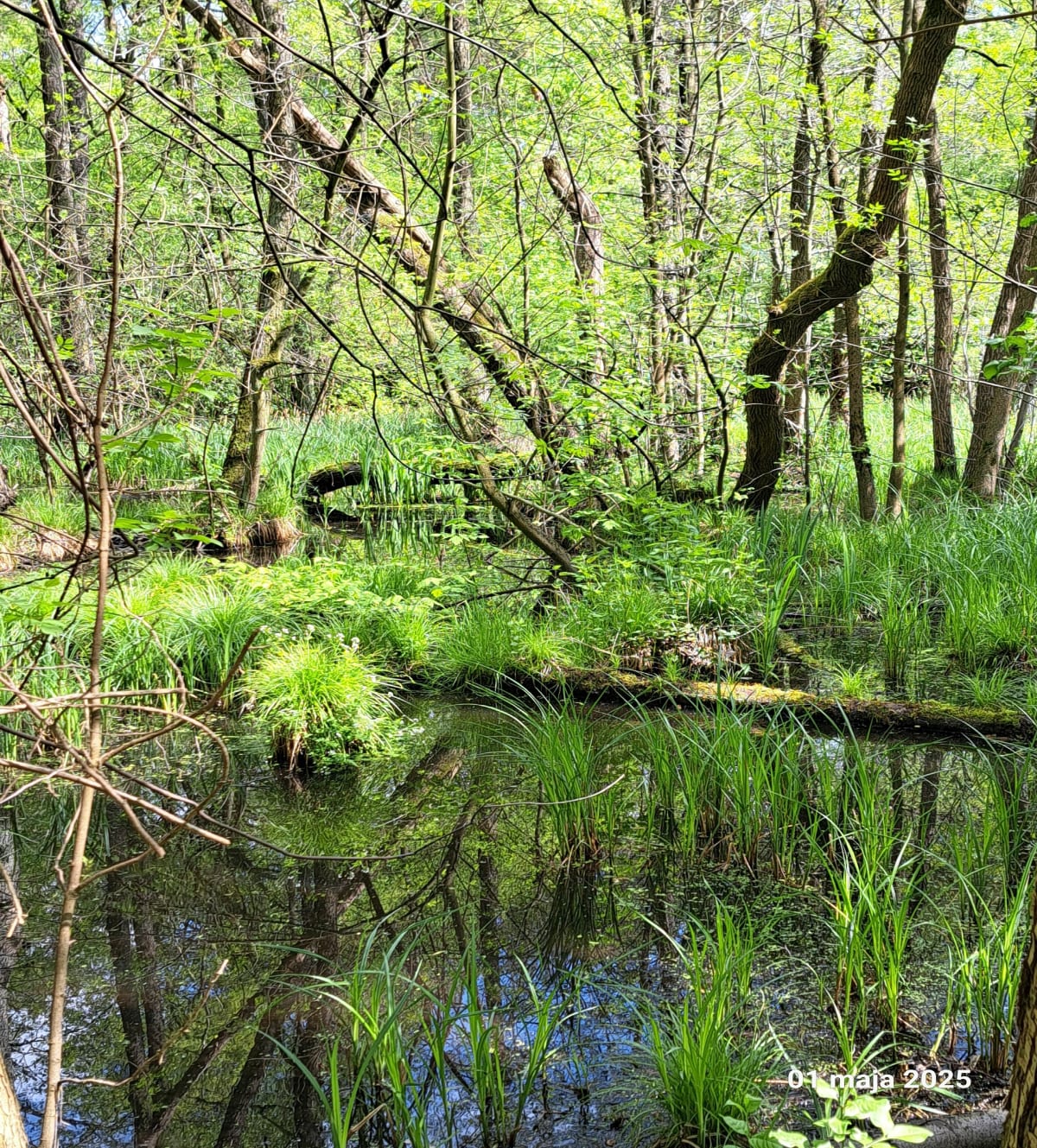 WOKÓŁ LOTNISKA - Łódź