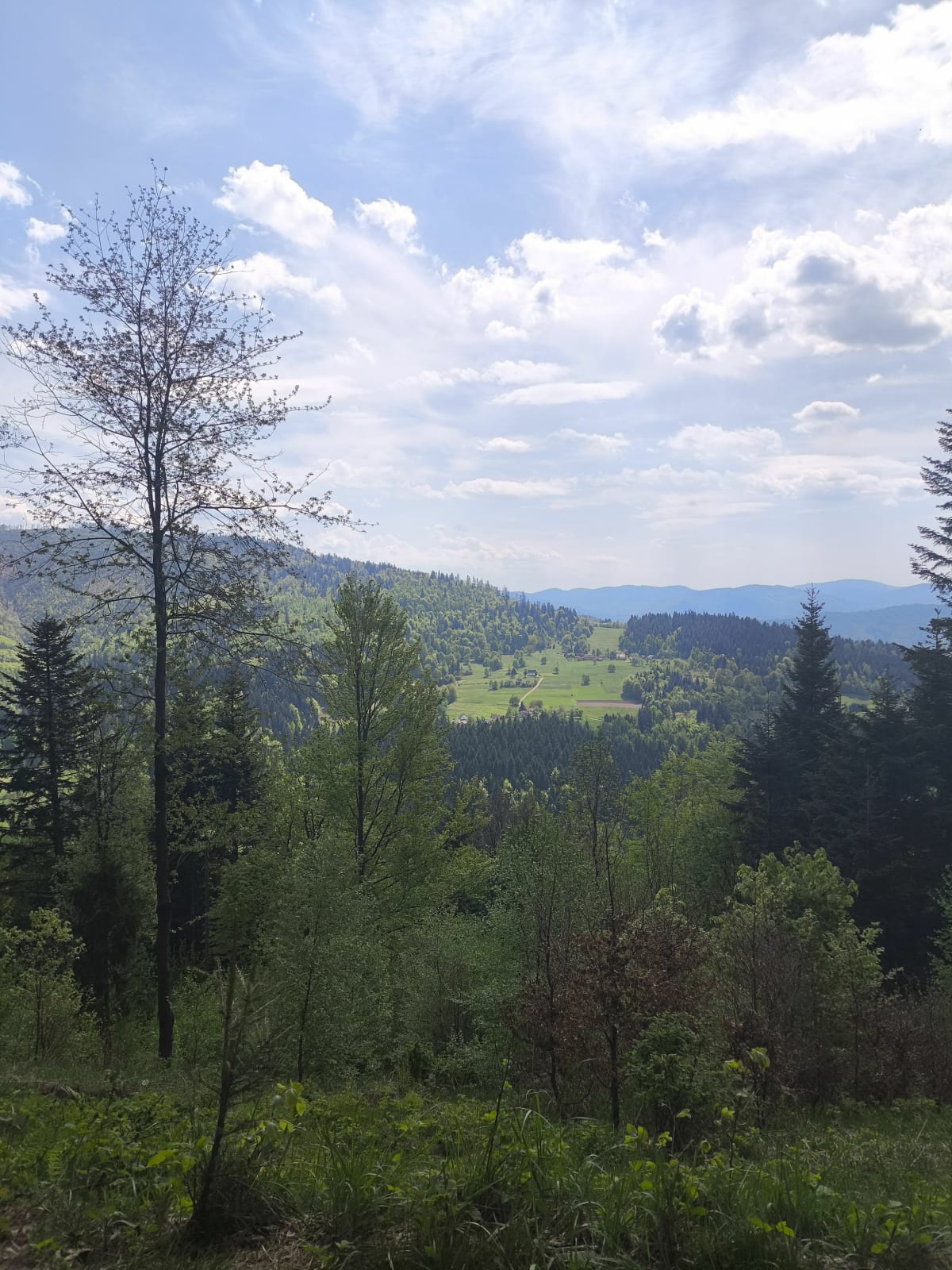Spacerek po Prusowie - Milówka