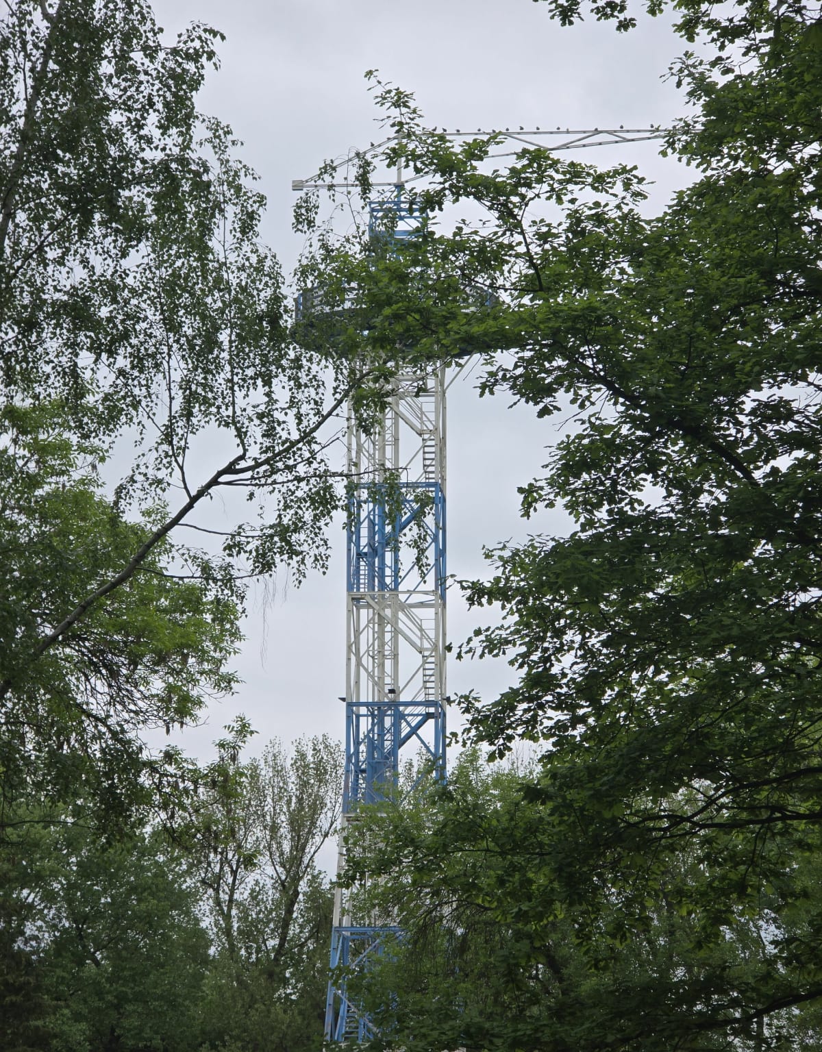 Park Kościuszki - Katowice