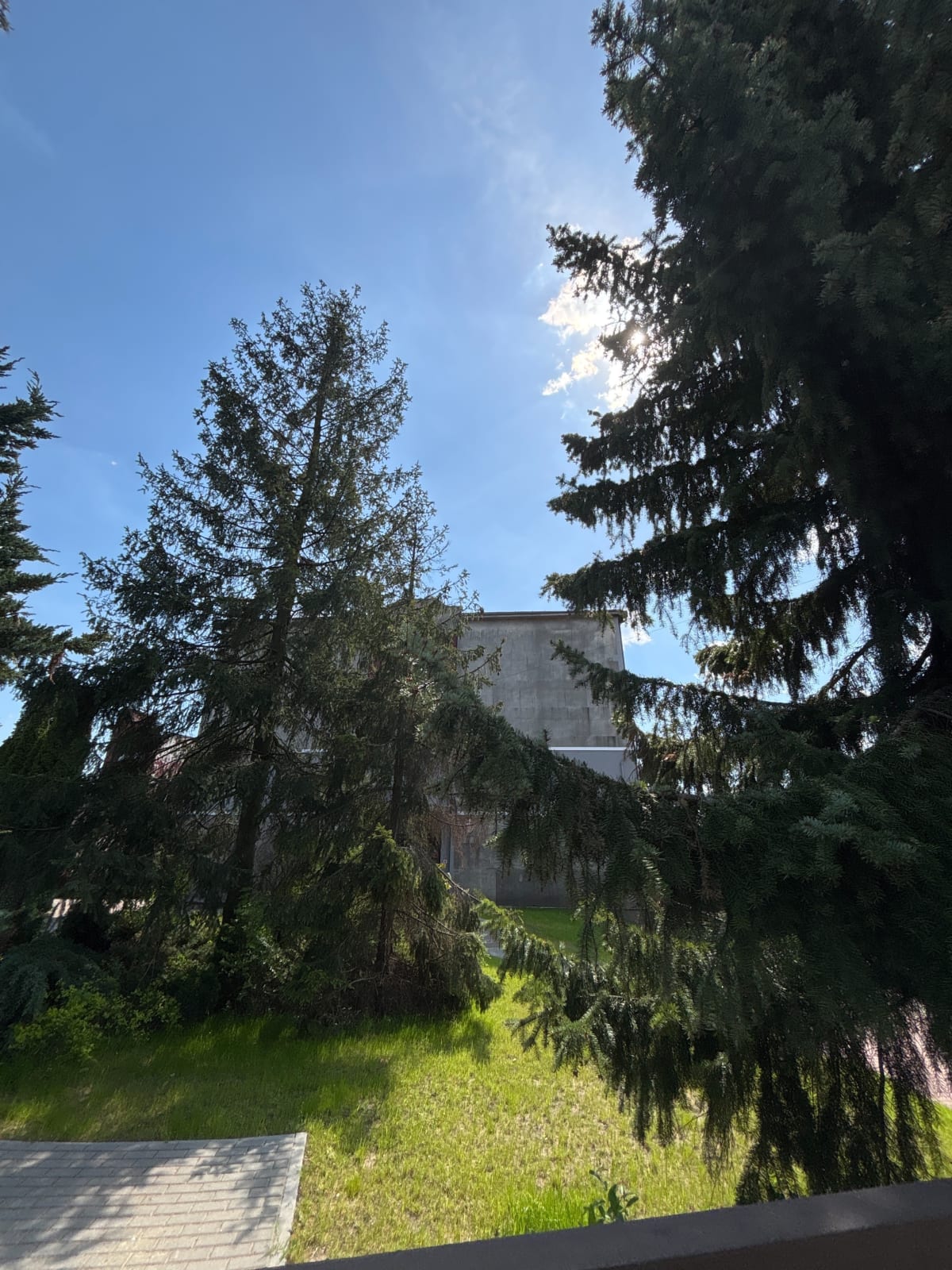 Trasa spacerowa po Grodźcu - Będzin