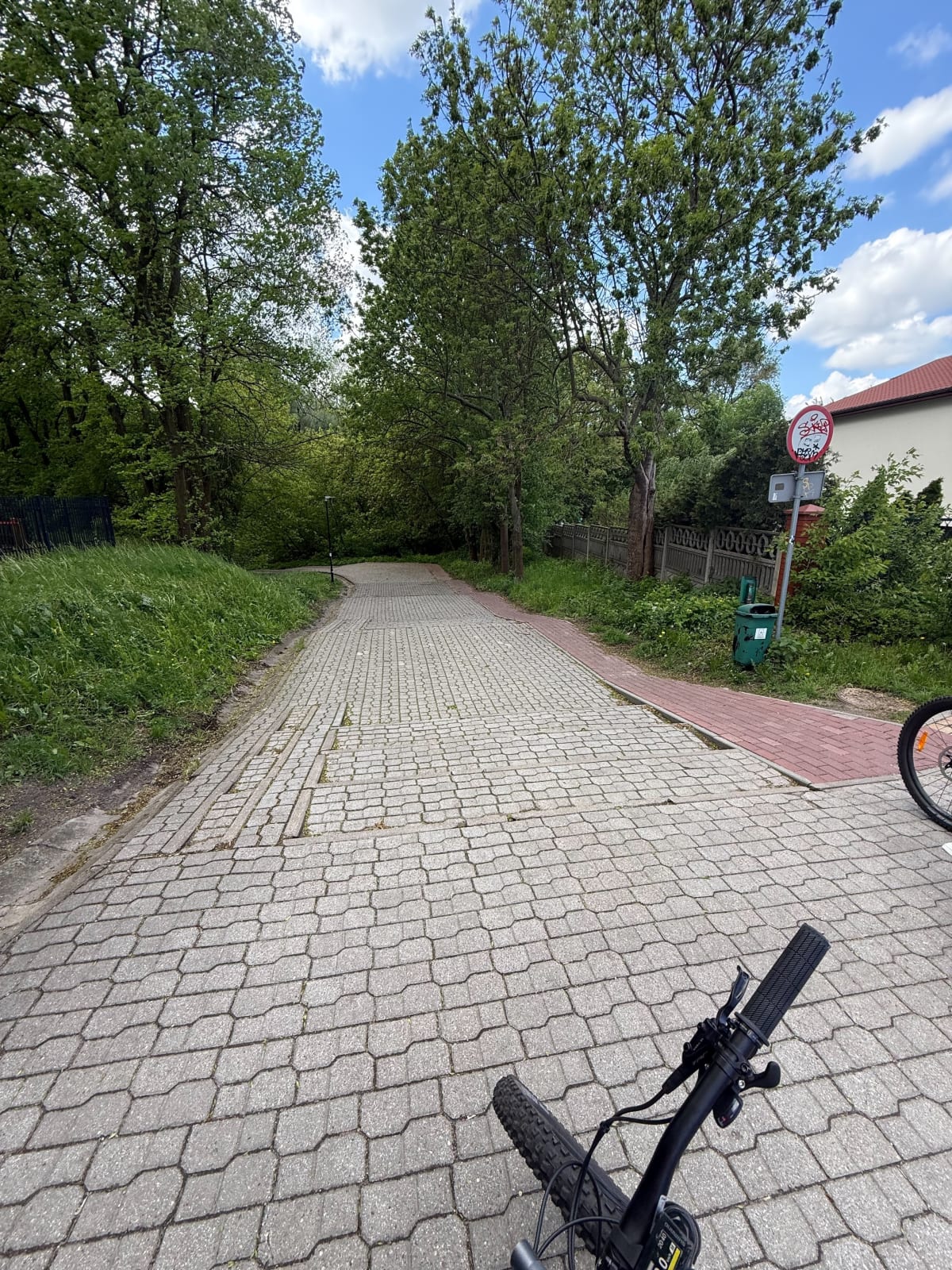 Park+Zalew Skierniewice - Skierniewice
