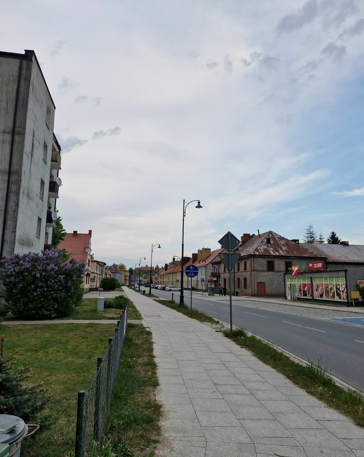 Szybki spacer w okolicy Nidzicy - Nidzica