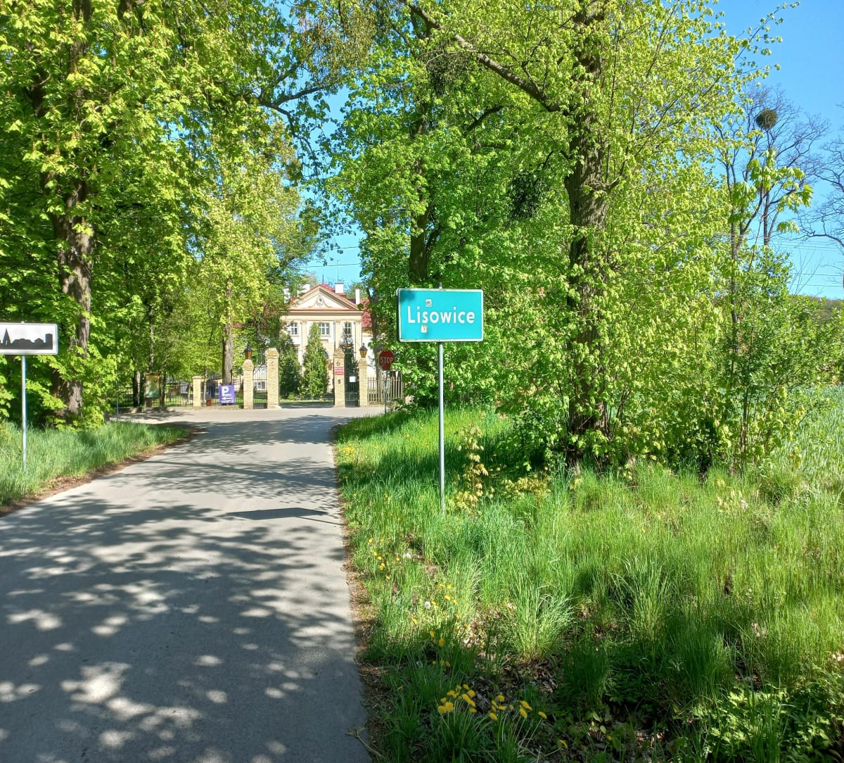 Brzeziny i okolica - Brzeziny