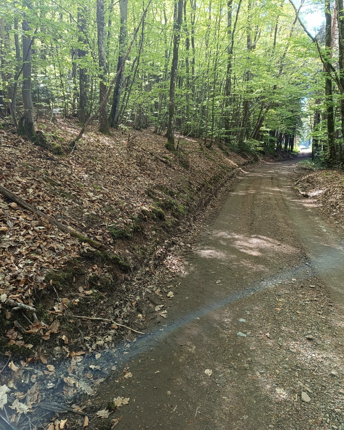 Tour de Mardore - Thizy-les-Bourgs