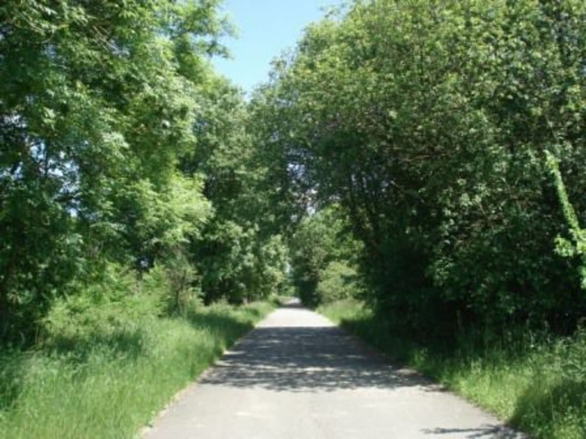 Boucle Mayenne/Loupfougères par la voie verte - Mayenne