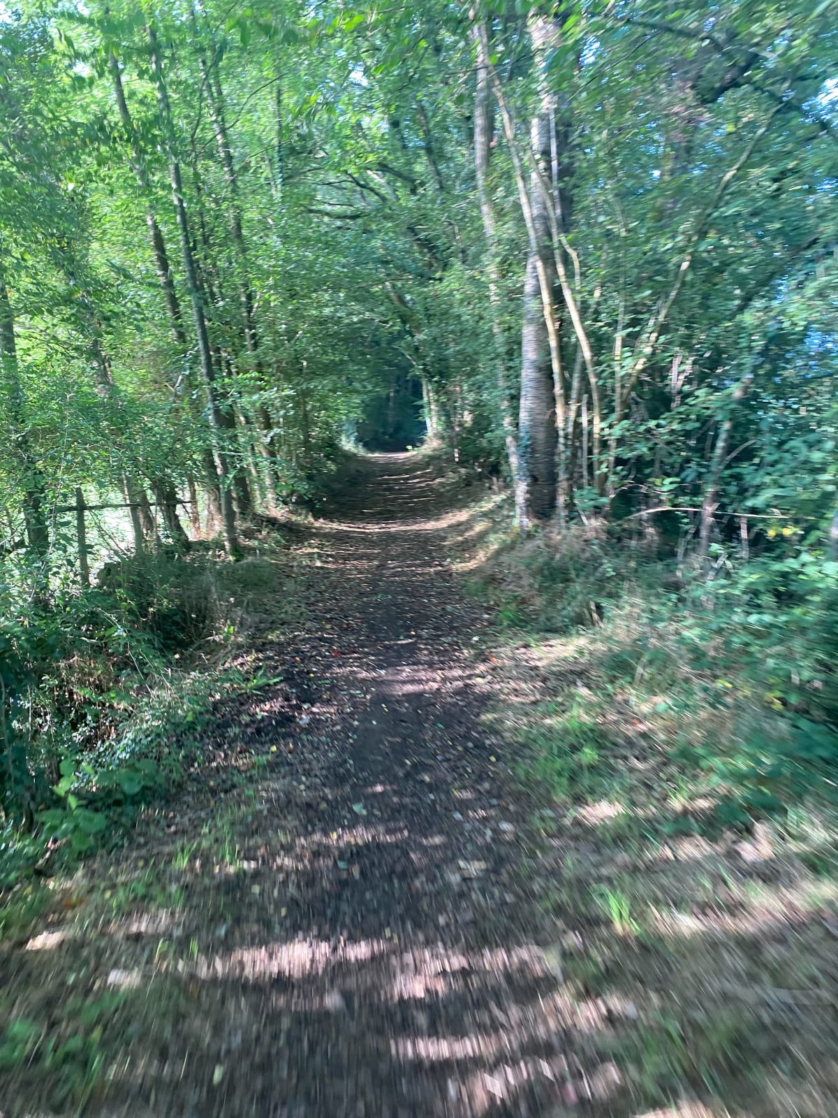 Sortie VTT autour de Saint Georges du Bois - Saint-Georges-du-Bois