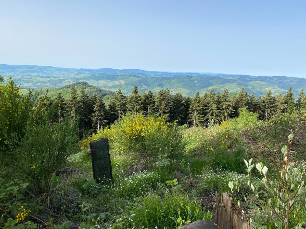 Belle balade en beaujolais - Ville-sur-Jarnioux