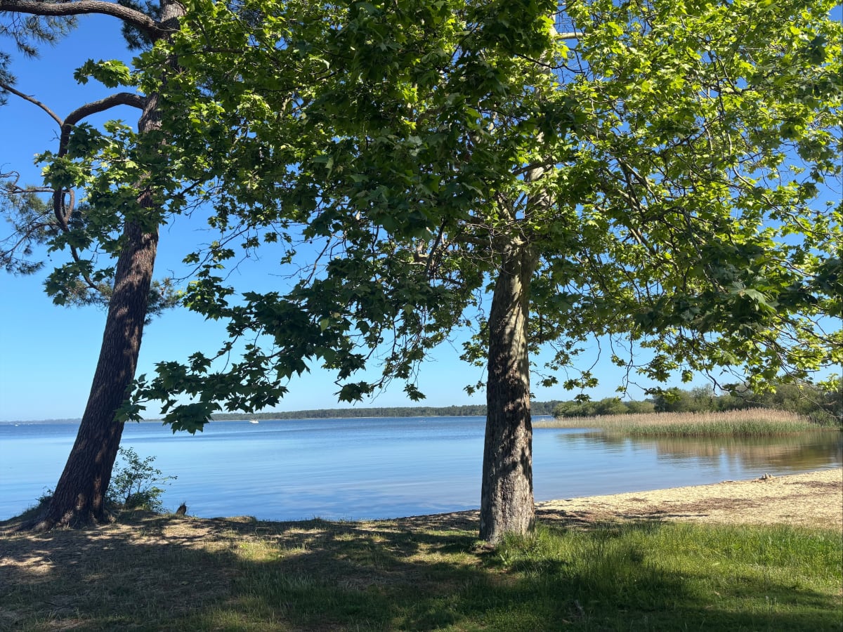 Tour au Lac de Sanguinet - Sanguinet