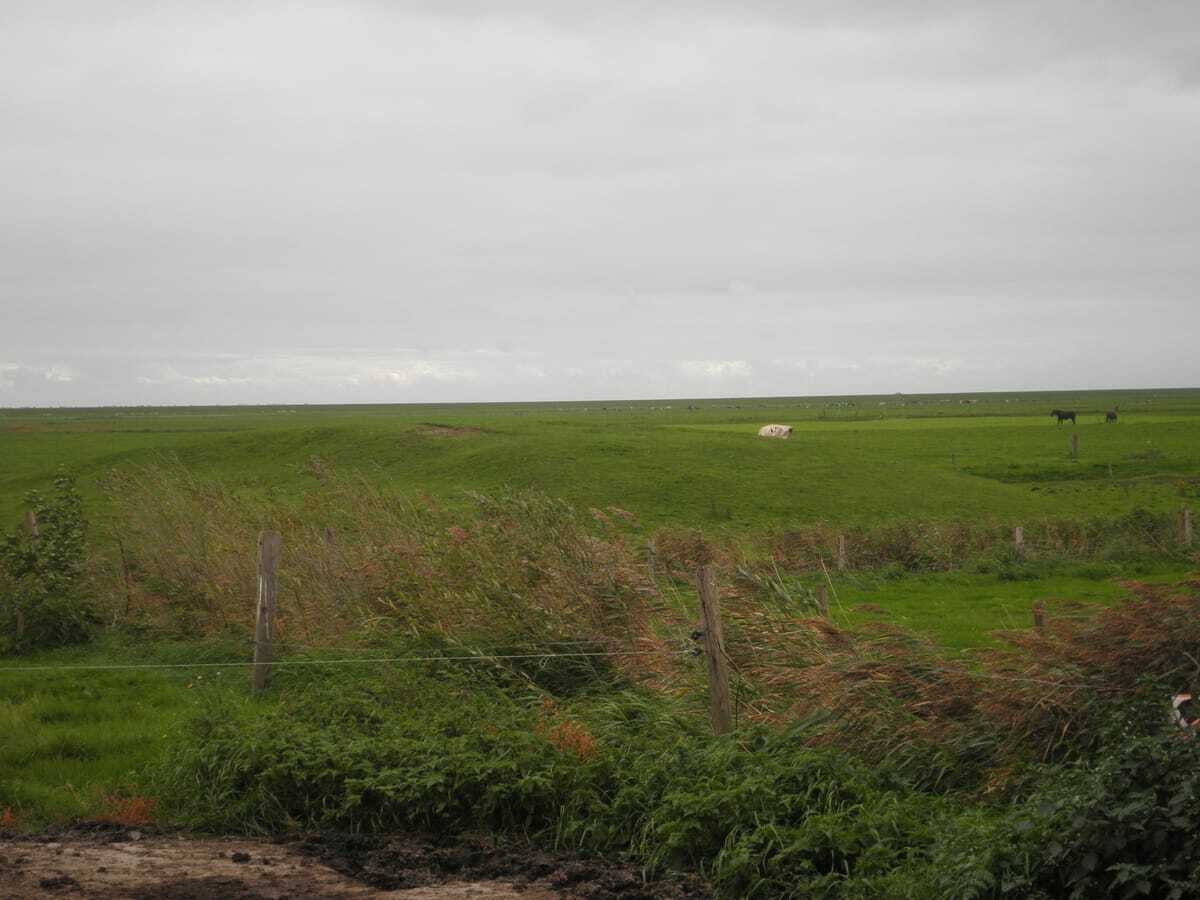 Wandelen in Landerum, Fryslân - Landerum