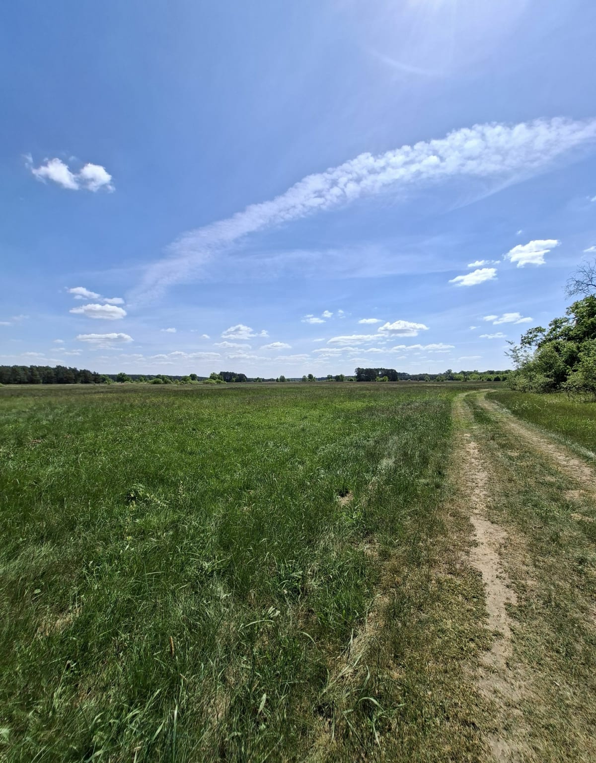 Czmoniec- nad Wartą - Czmoniec