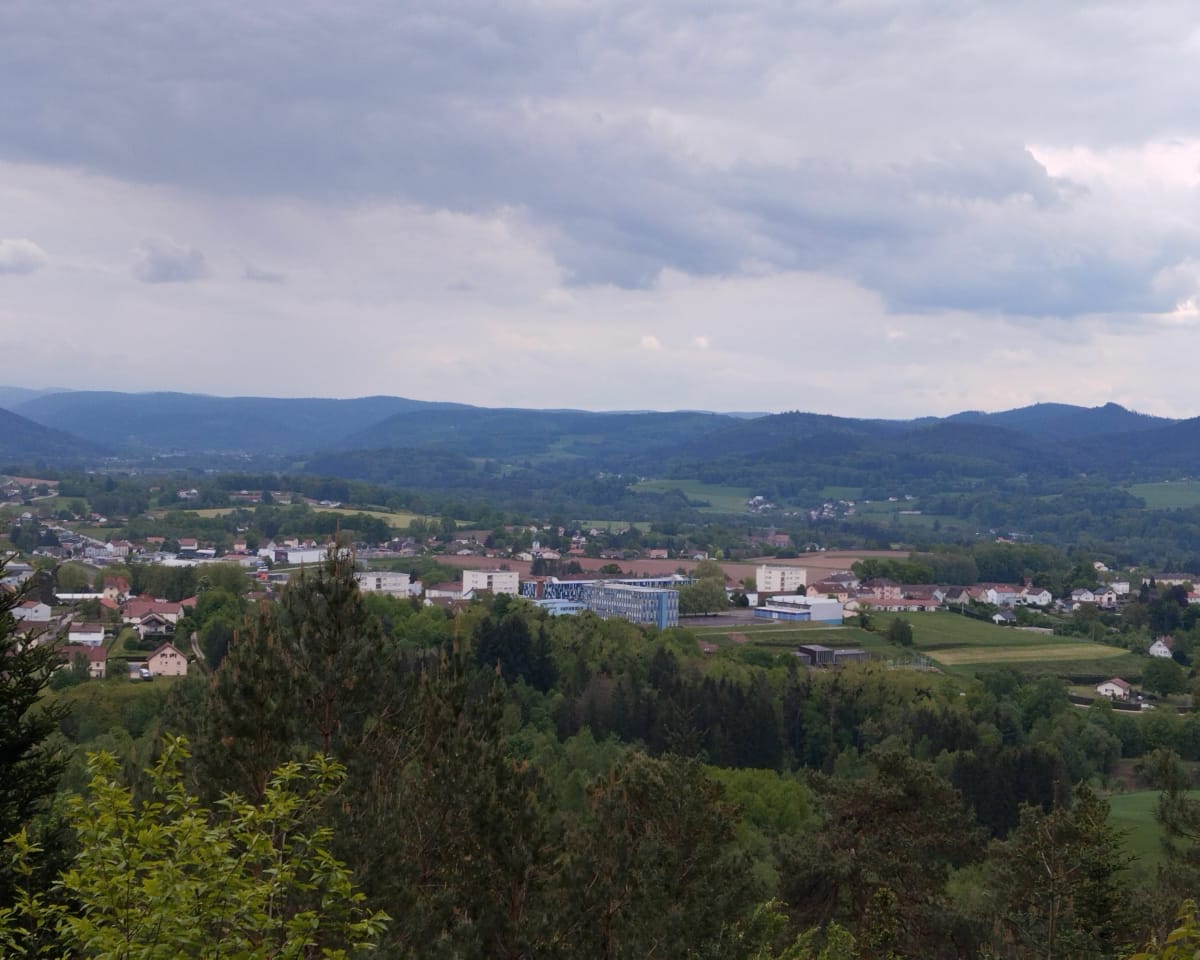 Montagne des Fourmis Géante et Bruyères - Bruyères