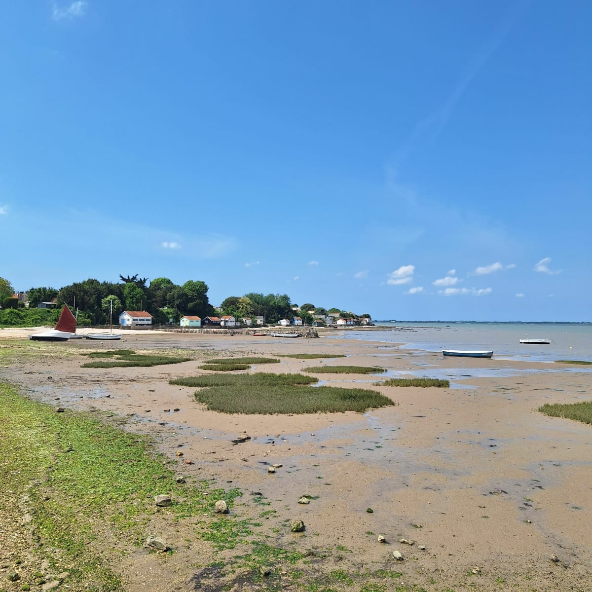 Plongée dans le monde maritime au Chapus - Bourcefranc-le-Chapus