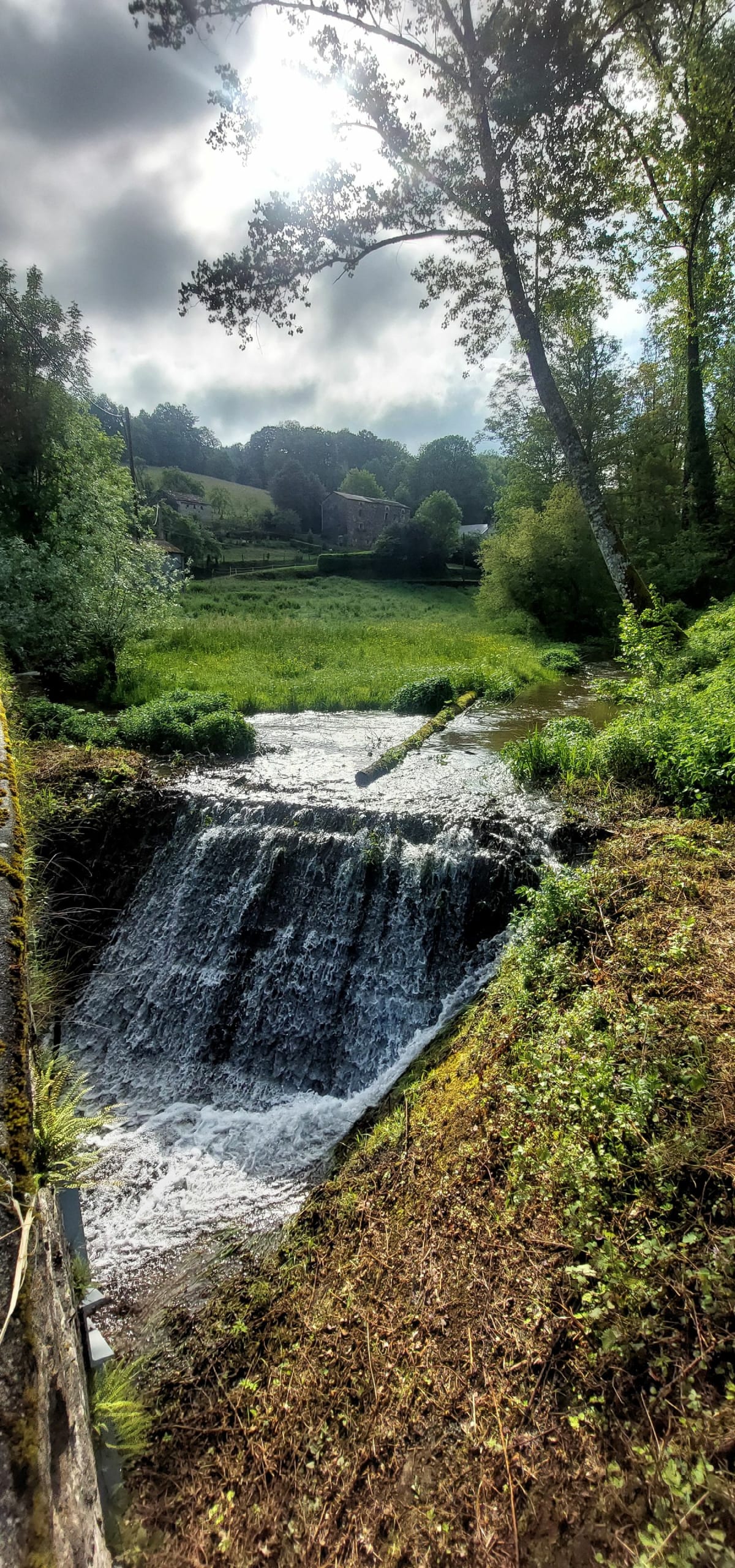Le Puech del Carbonniès - Berlats