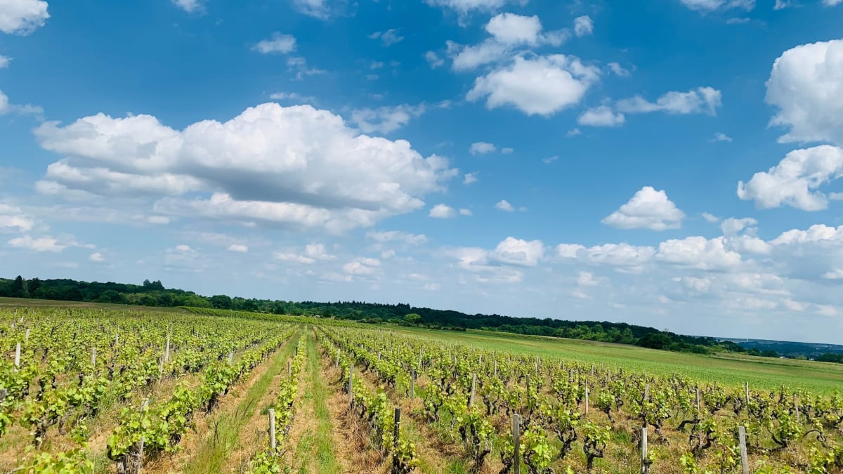Petite balade sur le plateau de Nazelles-Négron - Nazelles-Négron