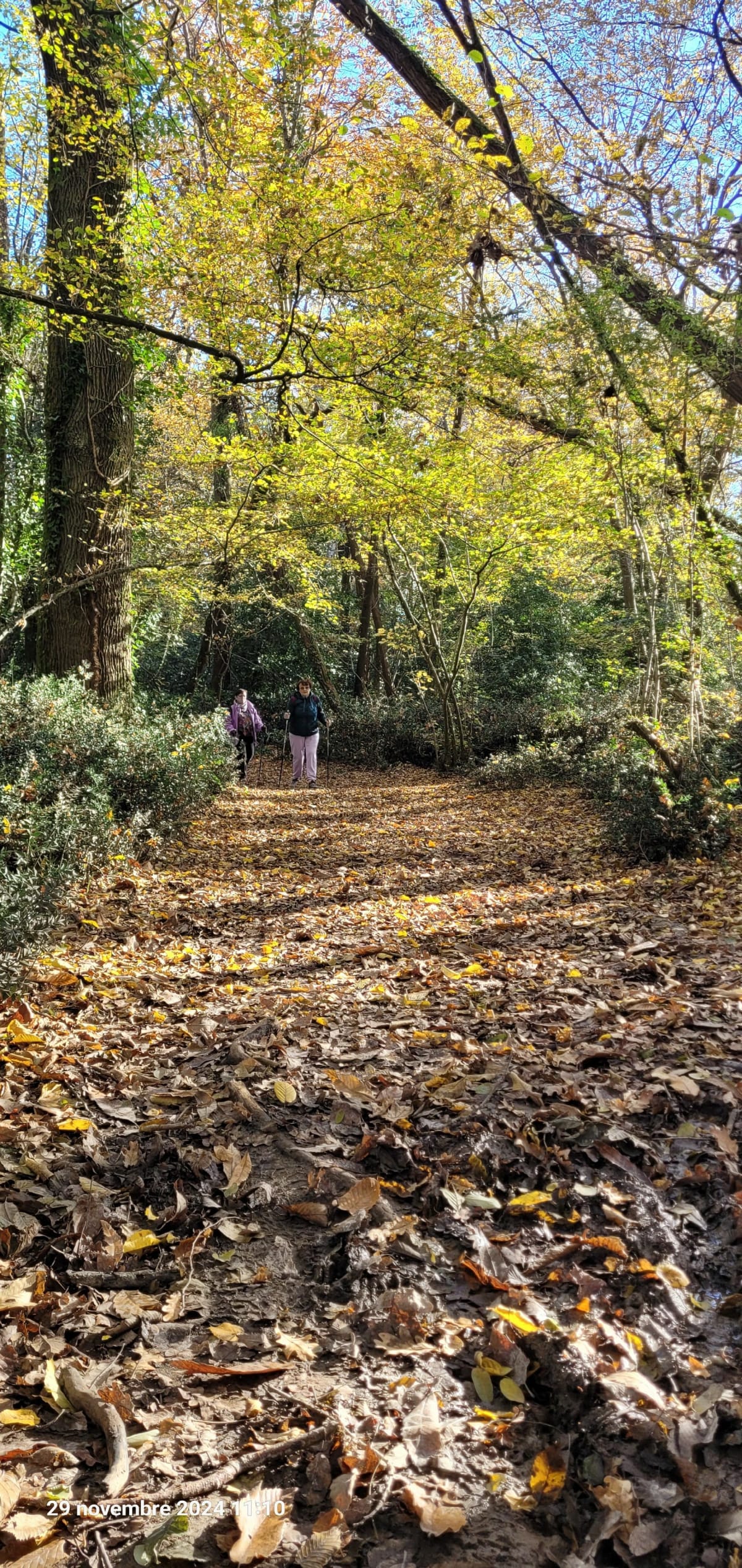 Sortie dans le parc d'Artigues-près-Bordeaux - Artigues-près-Bordeaux
