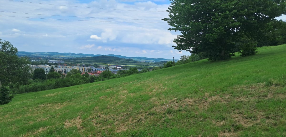 Góra Parkowa Wzgórza Bielawskie - Bielawa